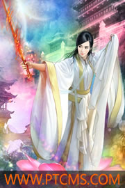 王者小日记