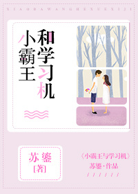 小霸王和学习机