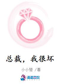 总裁，我很坏